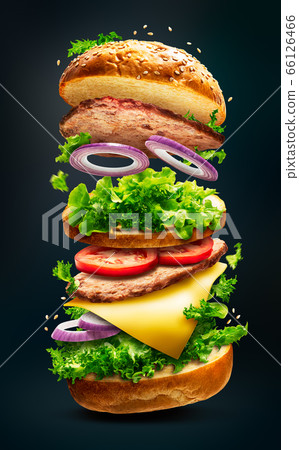 Floating burger isolated 66126466