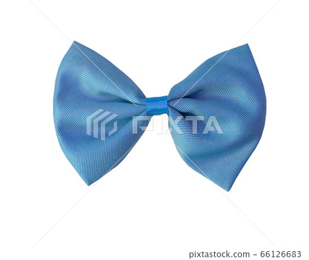 Blue bow isolated on white background. 66126683