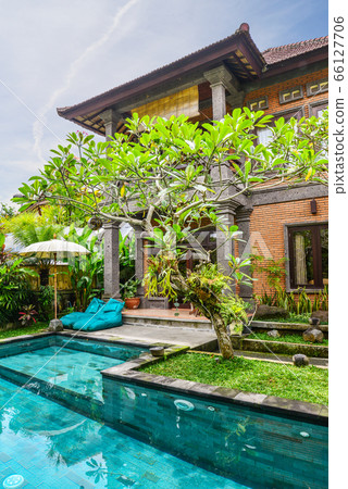 Garden on back yard with swimming pool Garden on back yard with swimming pool 66127706