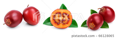 Fresh tamarillo fruit with leaves isolated on white background, Set or collection Fresh tamarillo fruit with leaves isolated on white background, Set or collection 66128065