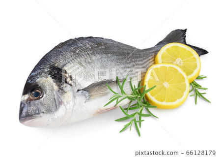 Fish dorado isolated on white background with clipping path and full depth of field. 66128179