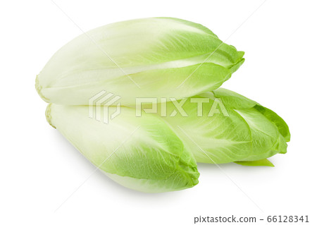 Chicory salad isolated on white background with clipping path and full depth of field. Chicory salad isolated on white background with clipping path and full depth of field. 66128341