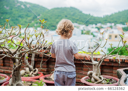 Toddler Boy tourist in Vietnam. Po Nagar Cham Tovers. Asia Travel concept. Toddler Boy tourist in Vietnam. Po Nagar Cham Tovers. Asia Travel concept. 66128362