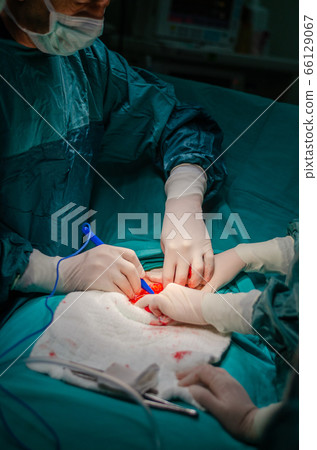 Surgeon doctor is operating on the patient. 66129067