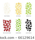 Set of Beans and nuts. Organic and healthy food Vector illustration. 66129614