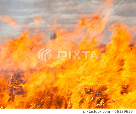 Big fire in the field 66129656