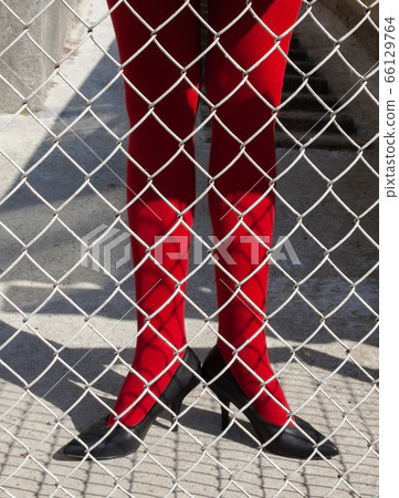 Woman's legs in red tights behind the metal mesh 66129764