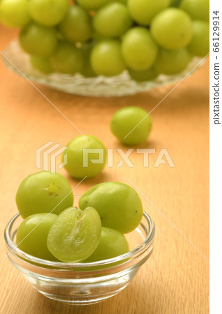 Shine Muscat 66129914