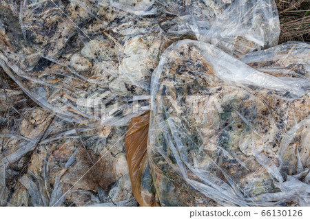 Rotten cucumbers in plastic sacks 66130126