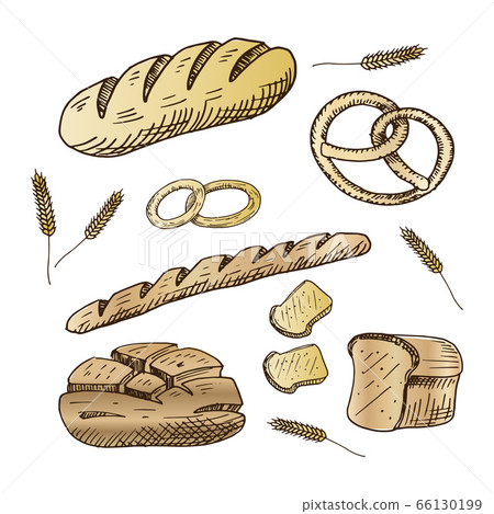 Bakery set. Collection of hand drawn bread products. Vector illustration. Isolated on white. Bakery set. Collection of hand drawn bread products. Vector illustration. Isolated on white. 66130199