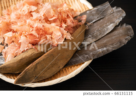 鰹魚和海狸 66131115