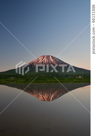 In early summer in Kutchan, Hokkaido, we took a picture of the morning glow of Mt.Yotei and the upside down Mt.Yotei reflected in the paddy fields. In early summer in Kutchan, Hokkaido, we took a picture of the morning glow of Mt.Yotei and the upside down Mt.Yotei reflected in the paddy fields. 66131886