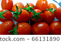 掉番茄 66131890