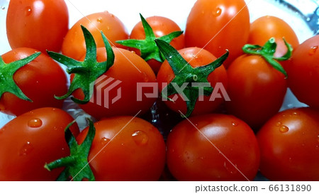 掉番茄 掉番茄 66131890