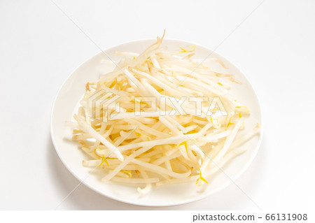 Mung bean sprouts. (White plate, white background) 66131908
