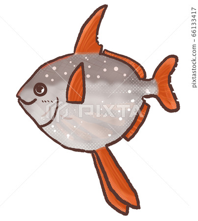 R:童話水族館紅色翻車魚3 R:童話水族館紅色翻車魚3 66133417