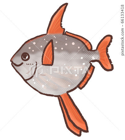 R:童話水族館紅色翻車魚4 R:童話水族館紅色翻車魚4 66133418