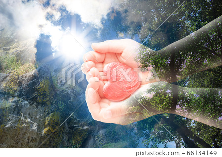 Nature, life, human image 66134149