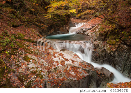 [2019] Nishizawa Valley, Mie Waterfall 66134978