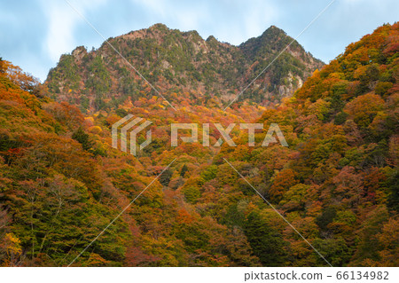 [2019]西澤谷 66134982