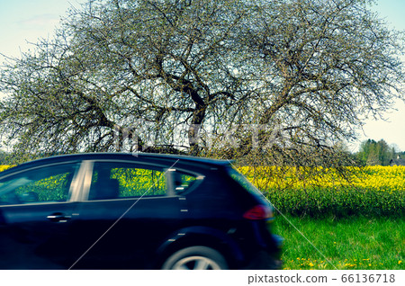 Car on the road against the background of a field Car on the road against the background of a field 66136718