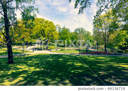 Shadows on the green grass in the park from the Shadows on the green grass in the park from the 66136719