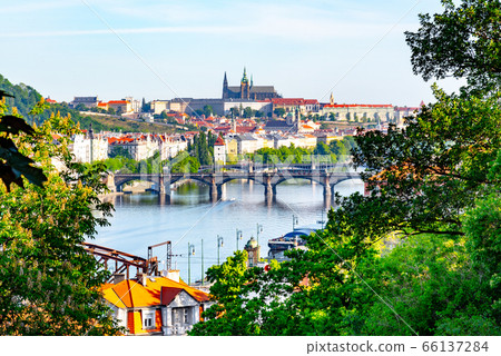View of Prague Castle from Vysehrad with lush green spring trees, Prague, Czech Republic View of Prague Castle from Vysehrad with lush green spring trees, Prague, Czech Republic 66137284