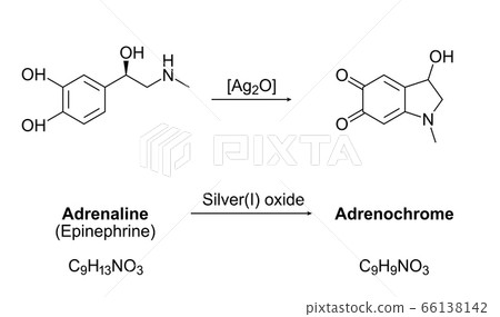 Synthesis of adrenochrome, chemical equation. Oxidation of adrenaline (epinephrine) by silver(I) oxide. Molecules, skeletal formulas and structures. A component of several conspiracy theories. Vector. 66138142