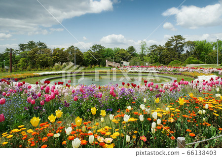 Hattori greenery and circular flower beds Hattori greenery and circular flower beds 66138403