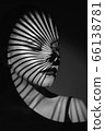 Fashion portrait 66138781