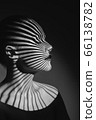 Fashion portrait 66138782