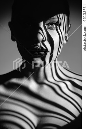 Fashion portrait Fashion portrait 66138784