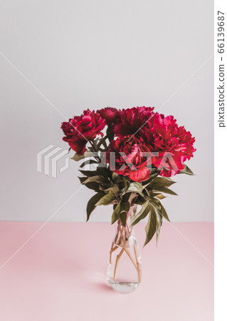 Vertical shot of fresh beautiful red peony flowers in a vase on a beautiful surface 66139687