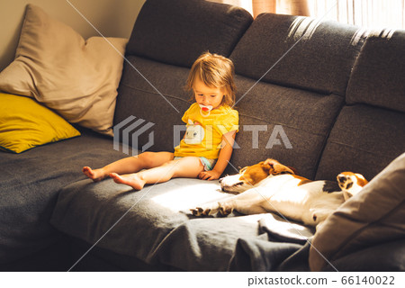 Baby with dog on sofa in bright room. Baby with dog on sofa in bright room. 66140022