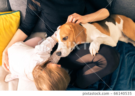 Young mother with 2 years old daughter on a sofa 66140535