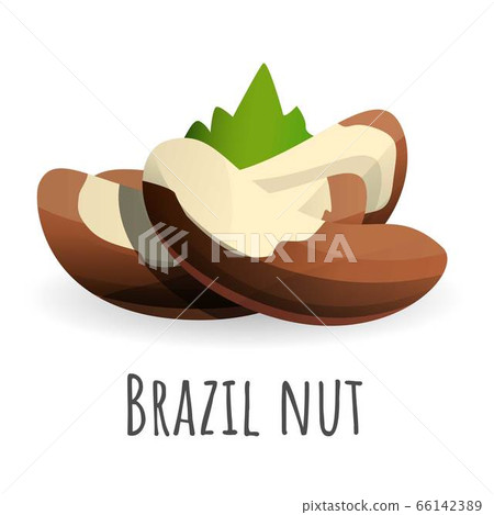 Brazil nut icon, cartoon style Brazil nut icon, cartoon style 66142389