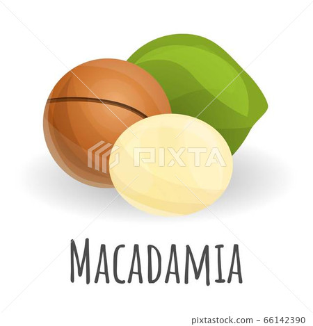 Macadamia icon, cartoon style Macadamia icon, cartoon style 66142390