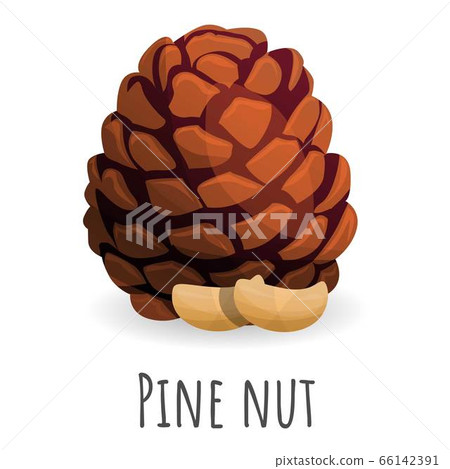 Tree pine nut icon, cartoon style Tree pine nut icon, cartoon style 66142391