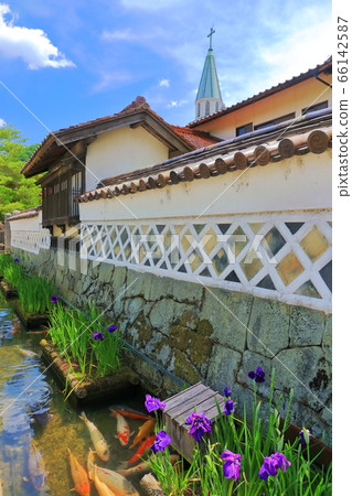 [島根]鳶尾花盛開的津和野遠町通水道 66142587