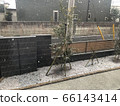 降雪 66143414
