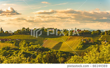 Sunset over South Styria vineyard landscape in 66144369