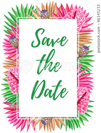 Tropical frame for Save the Date with sun palm Tropical frame for Save the Date with sun palm 66145233