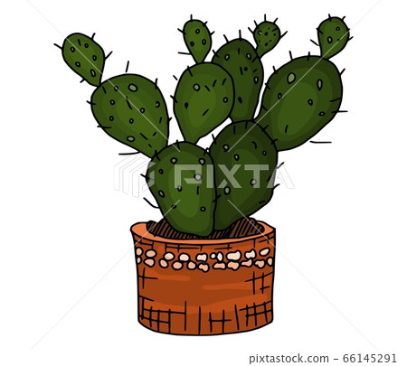 huge home cactus in a big pot. sketch vector huge home cactus in a big pot. sketch vector 66145291