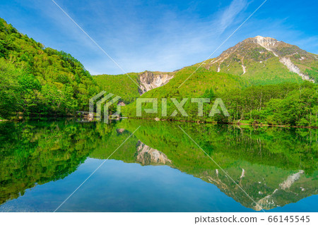 Fresh green Kamikochi Taishoike and Yakedake [Nagano Prefecture] 66145545