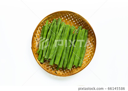 Moringa oleifera isolated on white 66145586