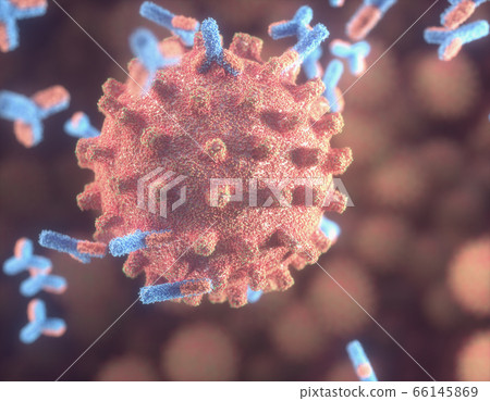 Y-Shaped Antibody Attacking Coronavirus Covid-19 Y-Shaped Antibody Attacking Coronavirus Covid-19 66145869