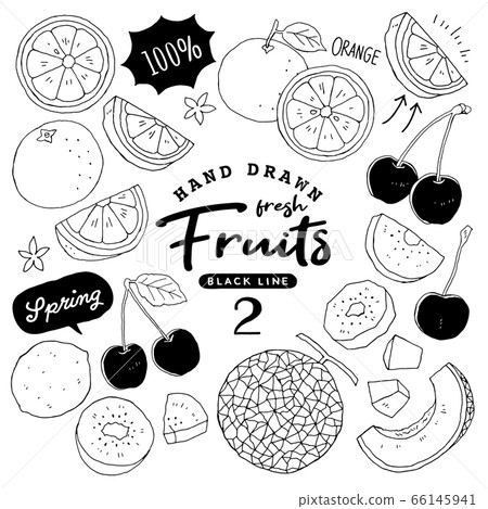 插圖素材：時尚簡單的水果筆繪圖筆跡2 /春季水果 66145941