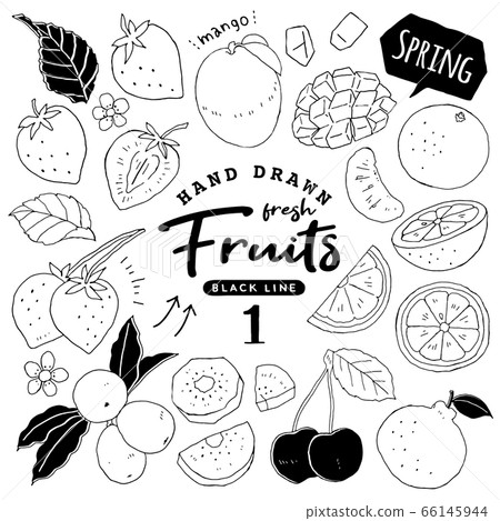 插圖素材：時尚簡單的水果筆繪圖筆跡1 /春季水果 66145944