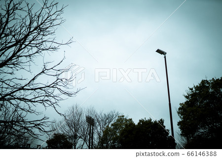 Natural tree park empty space Natural tree park empty space 66146388