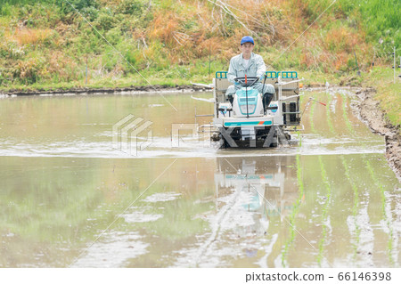 A farmer man operating a rice transplanter 66146398